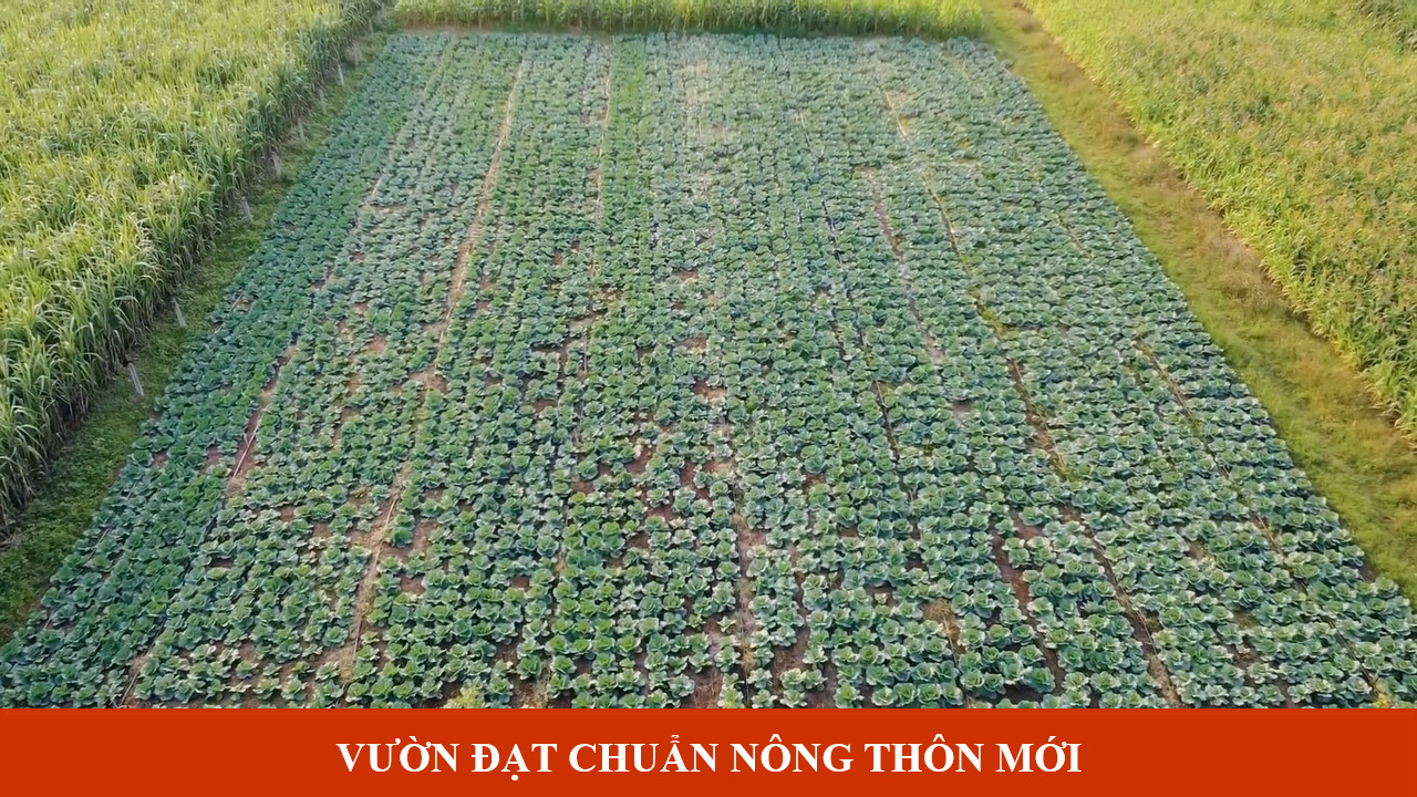 TUYÊN TRUYỀN AN TOÀN THỰC PHẨM 2023