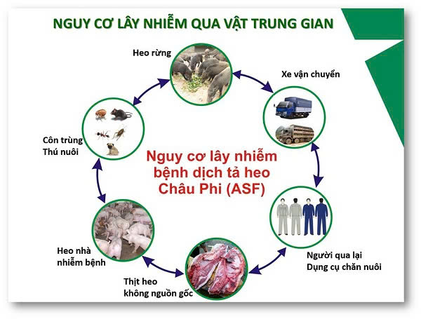 BÀI PHÁT T TUYÊN TRUYỀN PHÒNG CHỐNG  DỊCH TẢ LỢN CHÂU PHI